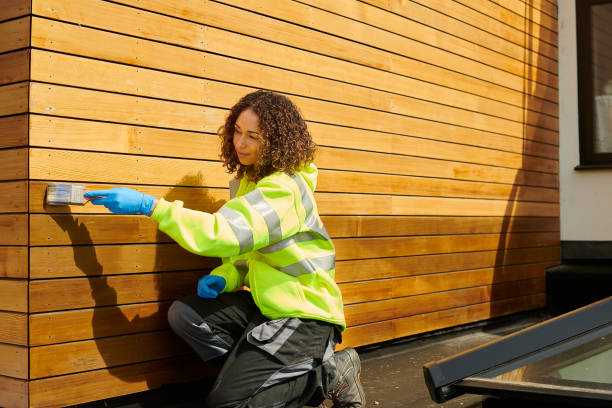 Best Stone Veneer Siding  in Morehead, KY